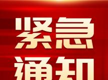  广东自信者赛鸽公棚2023年第二届  “三关赛”竞翔规程